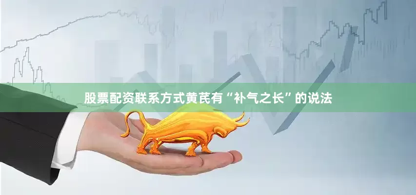 股票配资联系方式黄芪有“补气之长”的说法