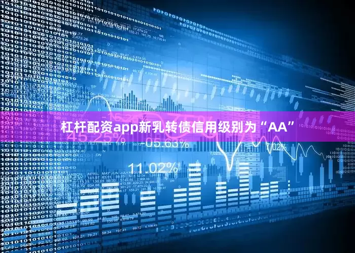 杠杆配资app新乳转债信用级别为“AA”